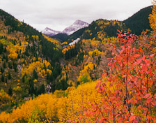Fall foliage near Marble, Colorado